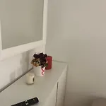 Coqueto